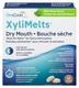 XyliMelts Dry Mouth Sweet Mint Flavor 40 Tablets